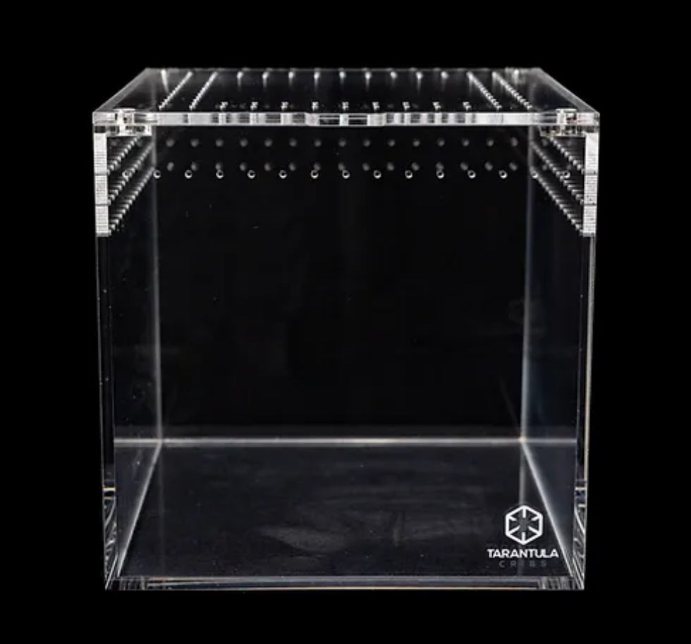 3" Cube